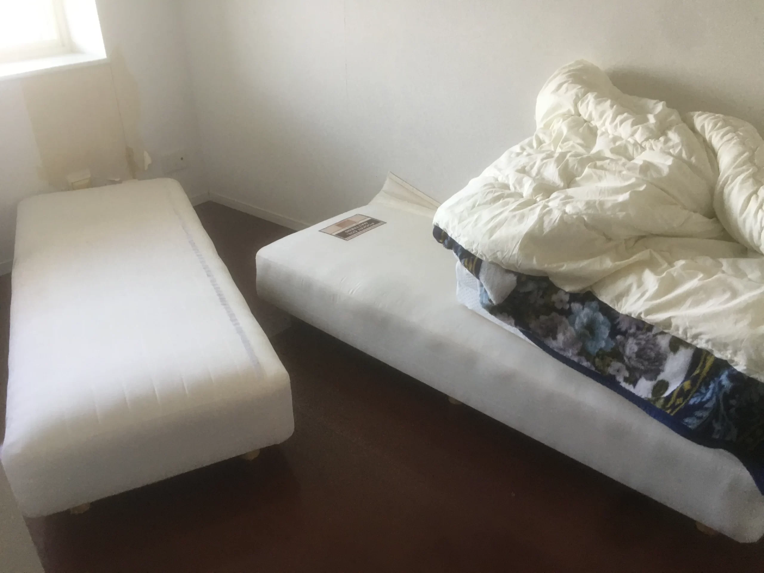 ヘルスラインのレビュー: アボカド グリーン マットレス